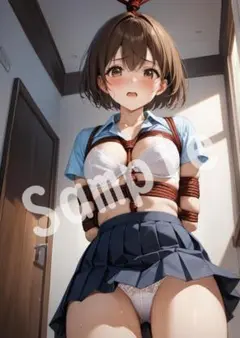 JK アニメ ファンアート A4 ポスター イラスト ★00418622