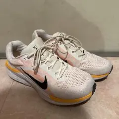 Nike ランニングシューズ Winflo 27.5cm