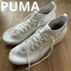 PUMA JAMMING EVOKNIT メンズ シューズ