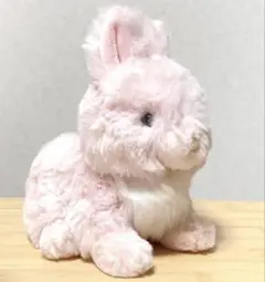 サンレモン ラピヌ ネザーランドドワーフ うさぎ ぬいぐるみ ピンク