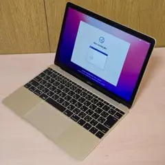 MacBook (Retina, 12-inch, Early 2016) m7