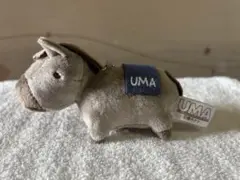 鷹月ナト　　UMAぬいぐるみ