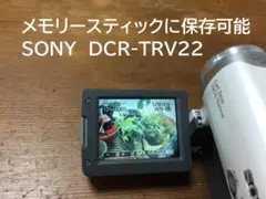 Item thumbnail for item 47ce21ab-77ea-4e2b-a5b9-0a82f7184738