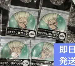 Dr.stone 石神千空 缶バッジ 4個 ローソンストア 100