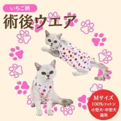 ＊術後服 Mサイズ いちご 術後ウェア 離乳 去勢 ペット 小型 中型向け