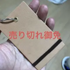 Item thumbnail for item a8ecee08-9c8f-4fe3-93db-d01ca64c07b7
