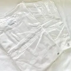 Item thumbnail for item 1d4ddd69-a7c2-4375-a836-9124f1ae5af7