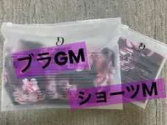 DRMETHOD Nongy 【シェイディングピンク】ブラ&ショーツ上下セット