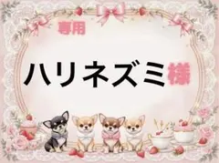 専用