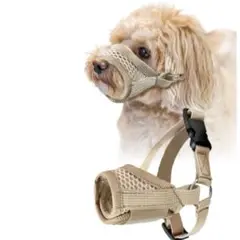 Item thumbnail for item 21b0f38f-321f-4a3b-8440-5e7566890ebb