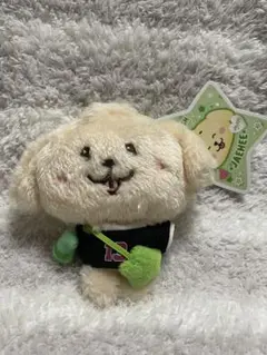 NCT WISH WISH DOLL ぬいぐるみ ジェヒ