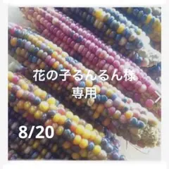 花の子るんるん様　専用