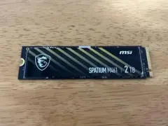 MSI SPATIUM M461 2TB NVMe 使用7小时 通电48回 美品
