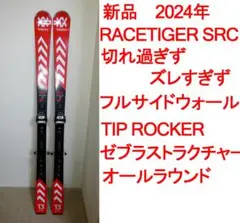 2025年最新】Volkl RACETIGER SRCの人気アイテム - メルカリ