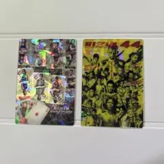 RIZIN ポテトスティック　ポスターカードコレクション