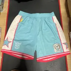 THE SOUTH TB sideline pants