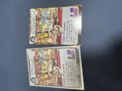 虫神器LR2枚セットです