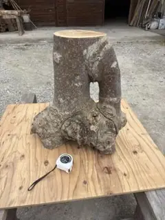 Item thumbnail for item 4769d063-5c45-496c-9049-5a57c3d3f0f1