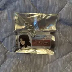 進撃の巨人 ピーク アタックフェス ネームプレート 1点