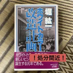 ホワイトカラー改造計画 堀井紘一