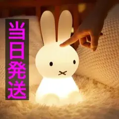人気うさぎライト ミッフィーLEDライト ミッフィー ライト インテリア
