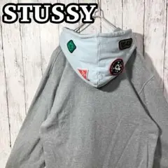 【超希少】STUSSYステューシー プルオーバー ワッペン ゆるだぼ