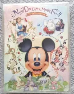 東京ディズニーリゾート ポストホルダー:40ポケット