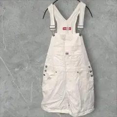 Item thumbnail for item aa396199-2df5-4e8f-96d4-cd29a12d1660