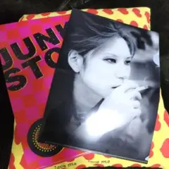 hideJUNKSTORYクリアファイル