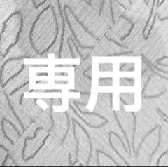 専用
