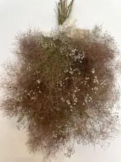 スモークツリーとかすみ草のスワッグ　ドライフラワースワッグ　花瓶に挿しても！