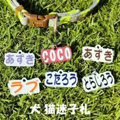 Item thumbnail for item 61cbbed8-0209-4bbd-b2a1-b05c9ecdb79e