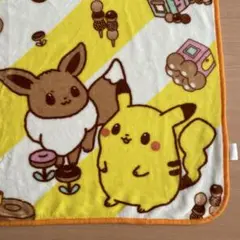 ピカチュウ★ブランケット