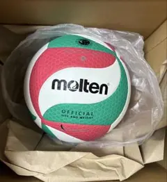 molten V4M5000 バレーボール 公式サイズ