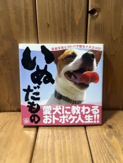 中古本　いぬだもの