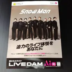 Snow Man ポスター　B2　スノーマン
