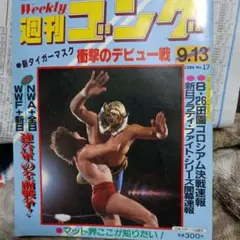 全日本プロレス∕ミニカード∕No.7∕ドリー・ファンクJr∕昭和レトロ∕希少 All Japan Pro Wrestling Mini Card No 7 Dolly Funk Jr Showa