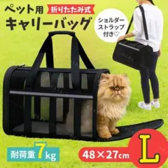 Item thumbnail for item 5acf4b75-3001-4410-a299-3bd1cae1b574