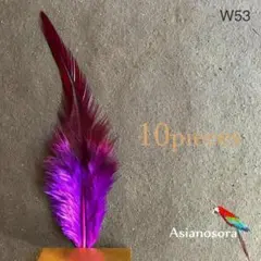 Item thumbnail for item 15d930c5-8c29-487b-bed1-8644e96a2547