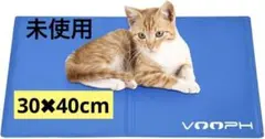 Item thumbnail for item 5539cab2-9c5f-46b6-bdfb-5f6585454f2b