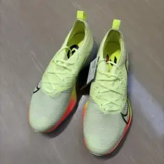 Item thumbnail for item 7fc43d48-6c75-4c6b-aefb-d39b8b88e2ca