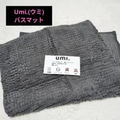 Item thumbnail for item 3fc9a6d7-4938-430e-a892-db33b0153cc1