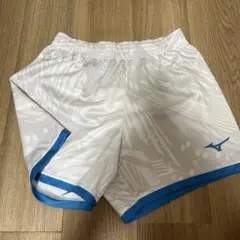 中京バレーゲーパン