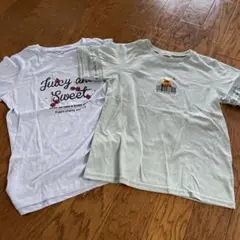 160 チェリーとクマのイラストTシャツ2枚セット