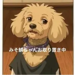 みそ鯖ちゃんご専用