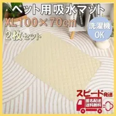 Item thumbnail for item 87b413fb-1111-4e00-b50d-73e10a503d85