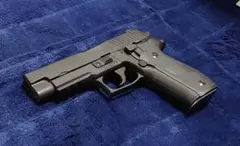 sig/sauer p226 railed frame