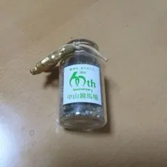 中山競馬場の砂