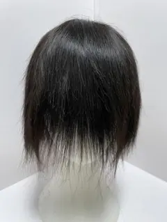 医療ウィッグフルウィッグ人毛100%総手植えリアルなつむじ引き抜きLサイズ