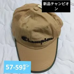 Item thumbnail for item e9c51ca5-f3f4-4b04-99e8-87340008df10